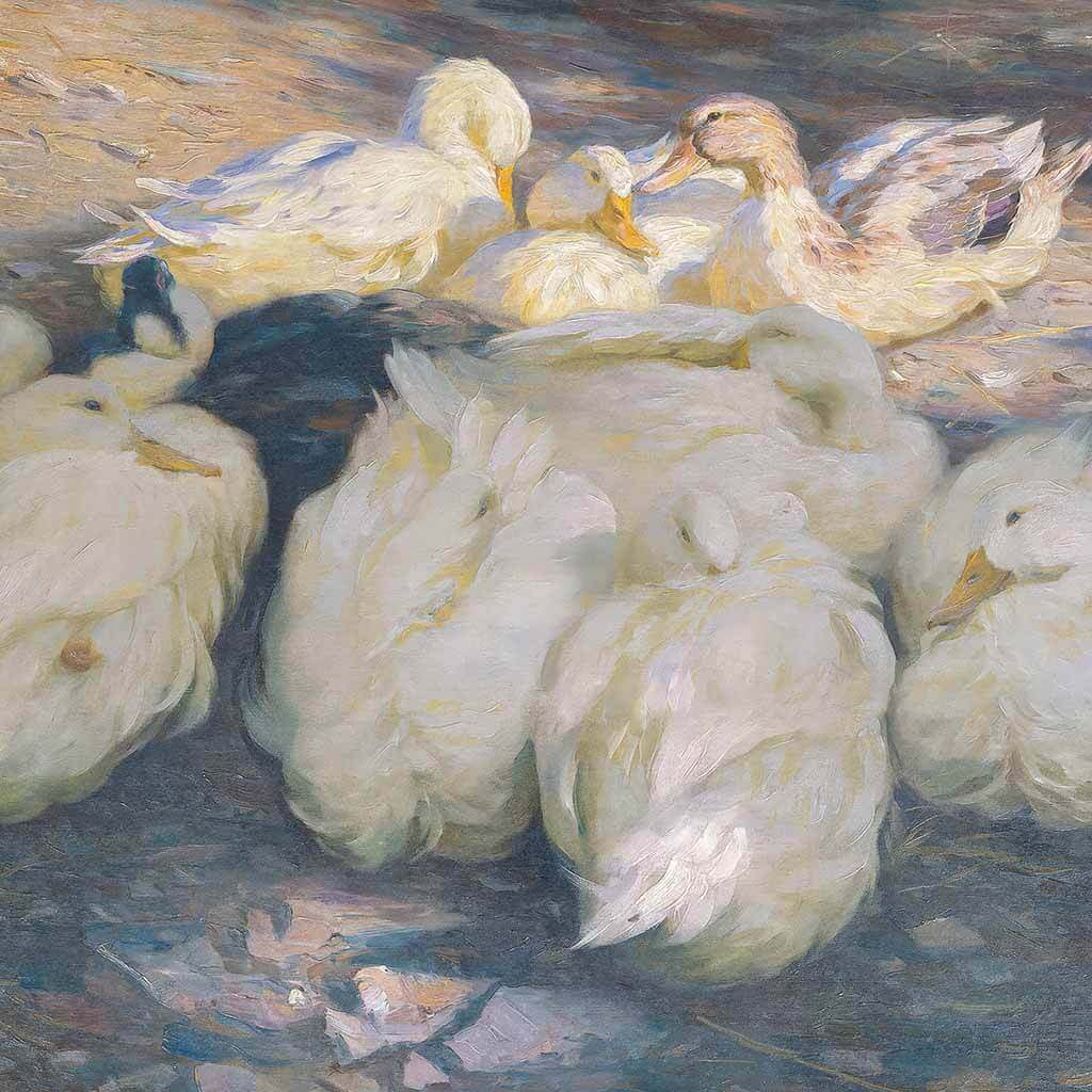 Ducks at Dawn