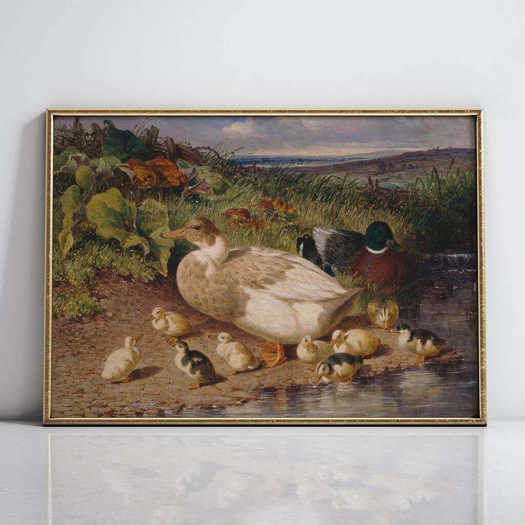 Ducks by a Stream