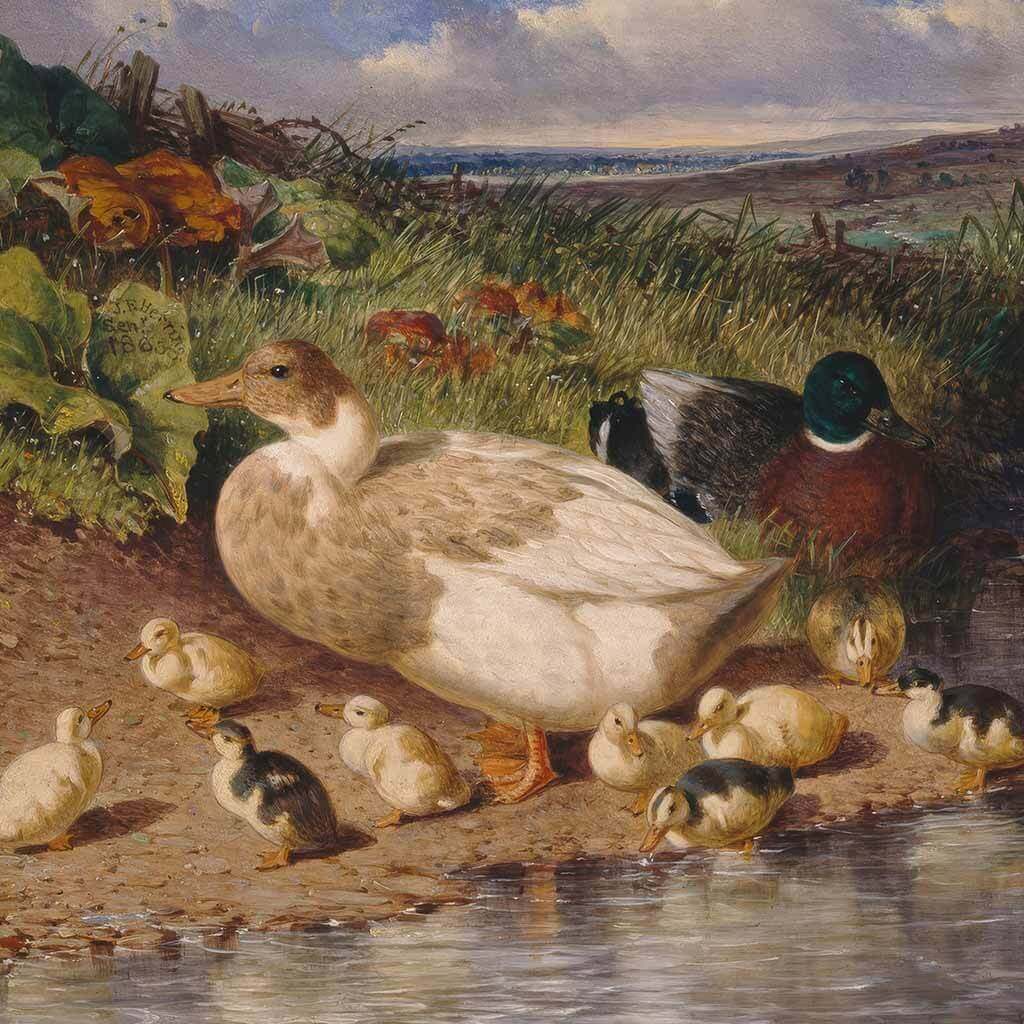 Ducks by a Stream
