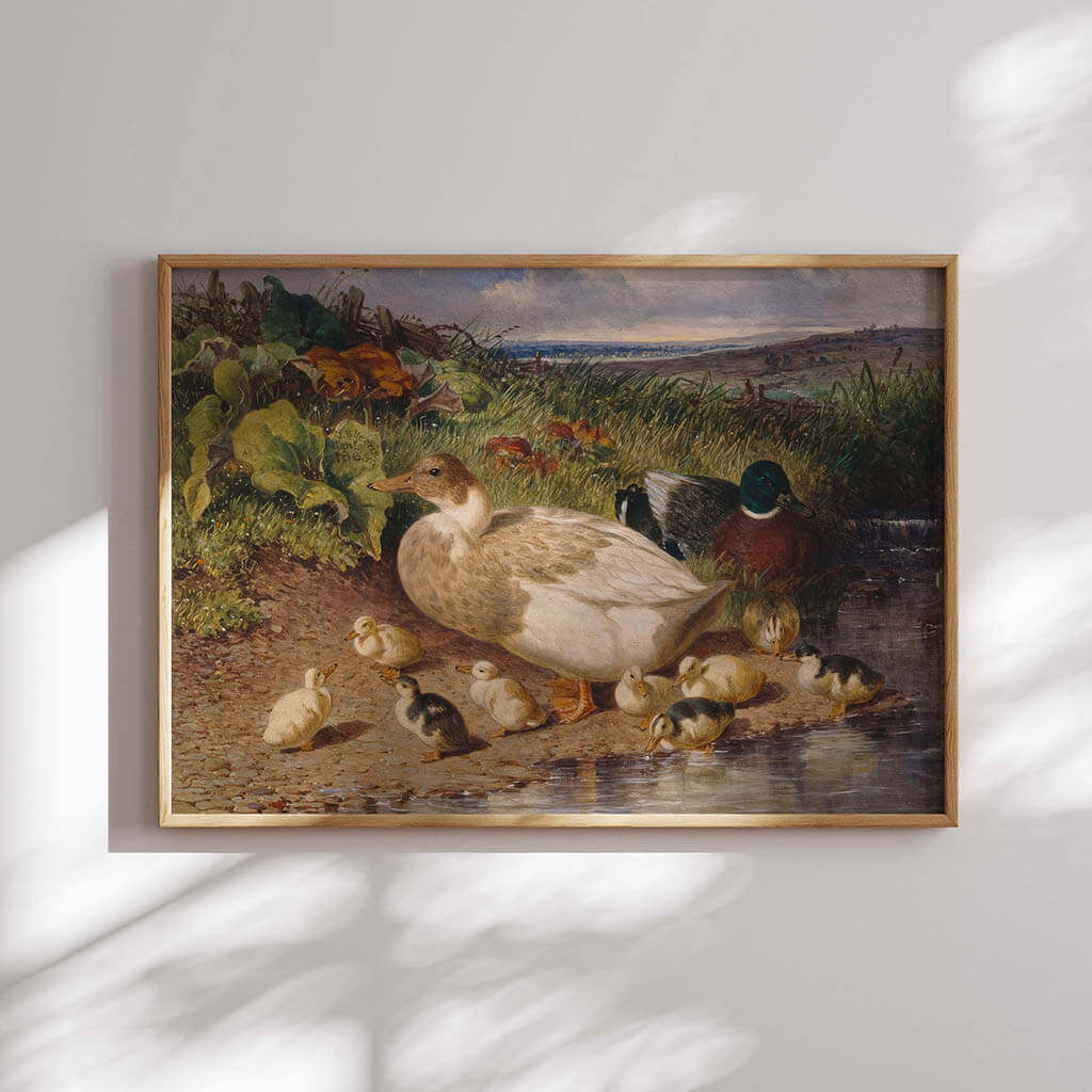 Ducks by a Stream