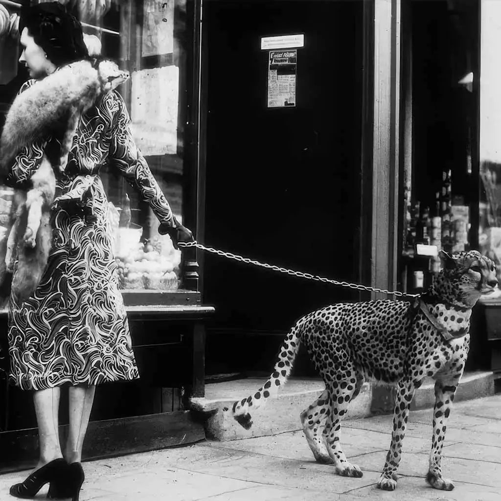 Elegant Lady Shopping with Cheetah