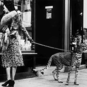 Elegant Lady Shopping with Cheetah