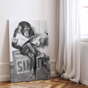 Chimpanzee Reading Newspape