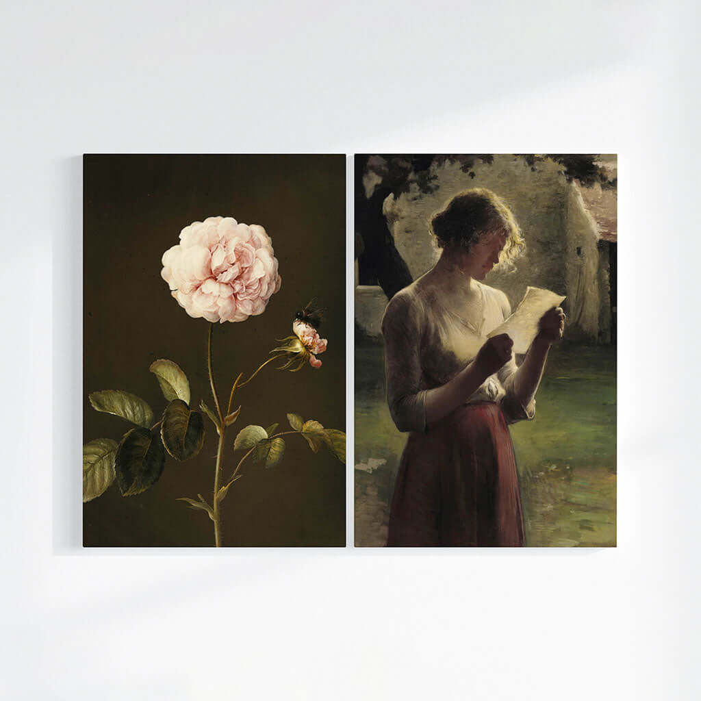 Gallica Rose & The Letter