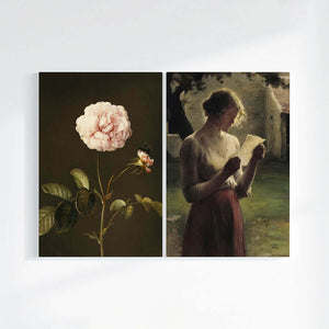 Gallica Rose & The Letter