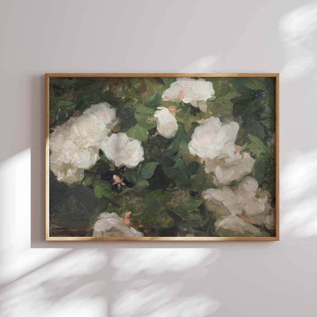 Garden Roses
