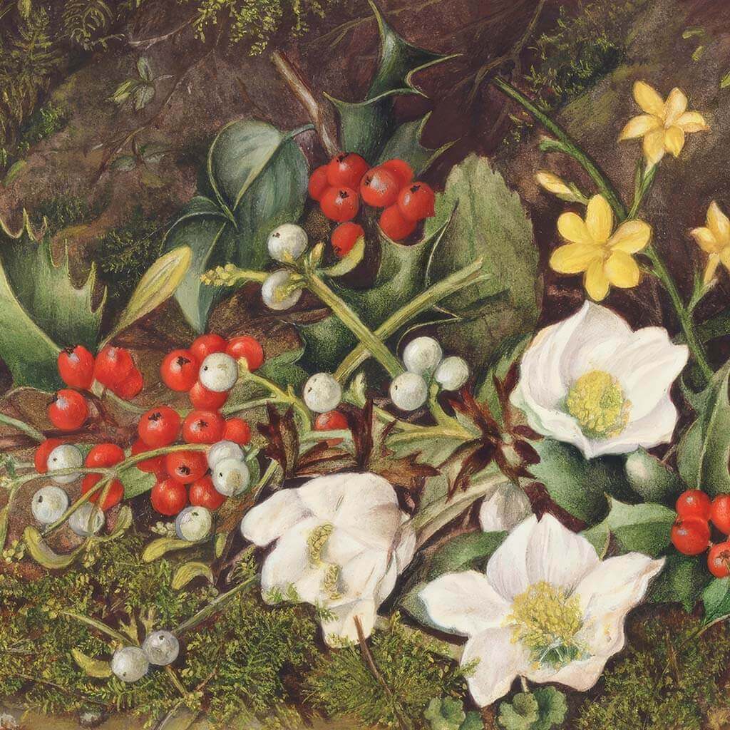 Holly And Christmas Roses