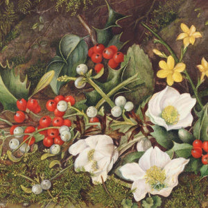 Holly And Christmas Roses