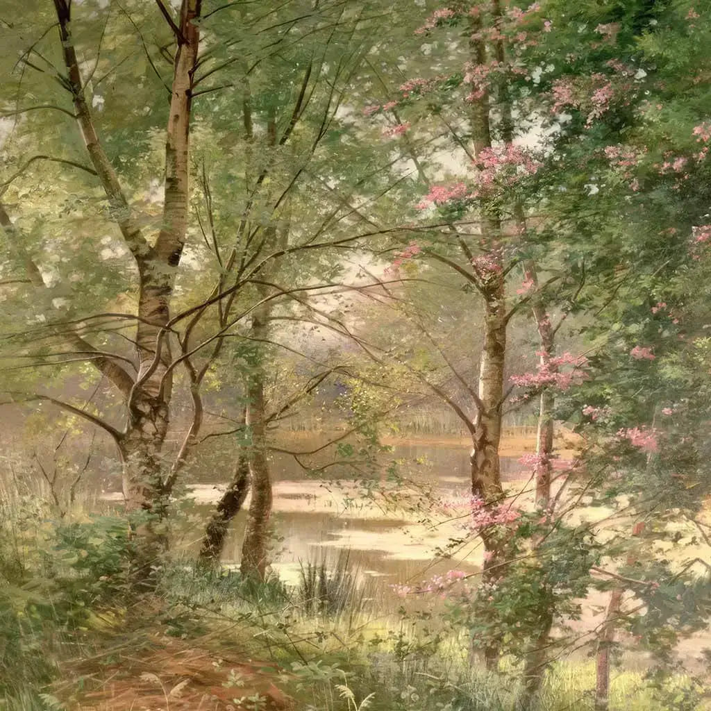 In A Fairy Woodland