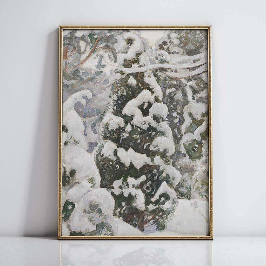 Juniper Tree in Snow