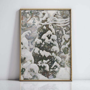 Juniper Tree in Snow