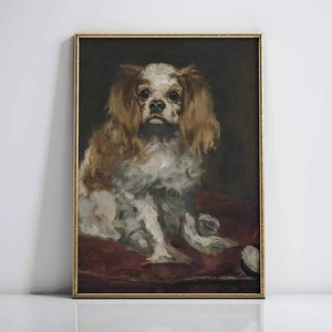 King Charles Spaniel