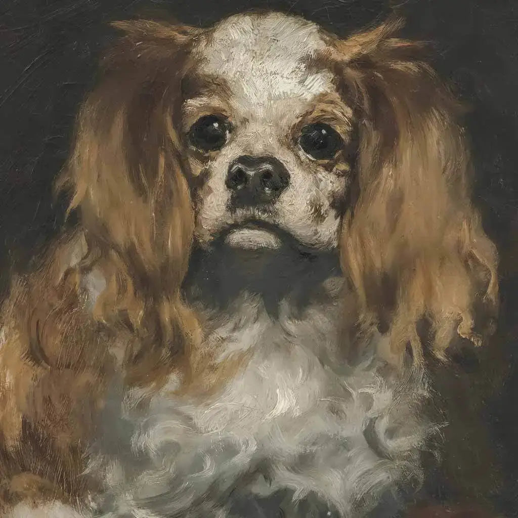 King Charles Spaniel