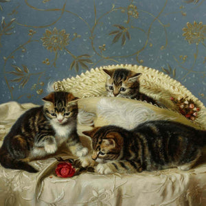 Kittens up to Mischief