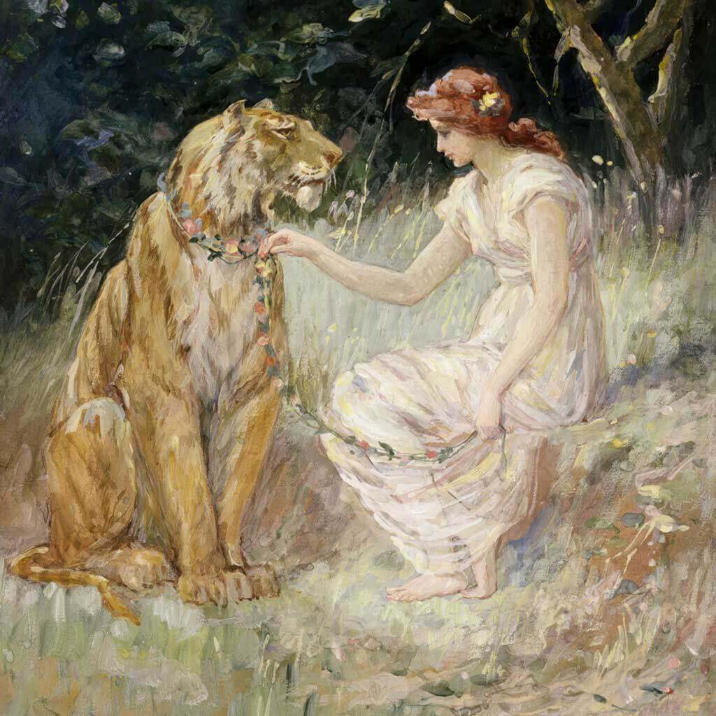 Lady and the Tiger