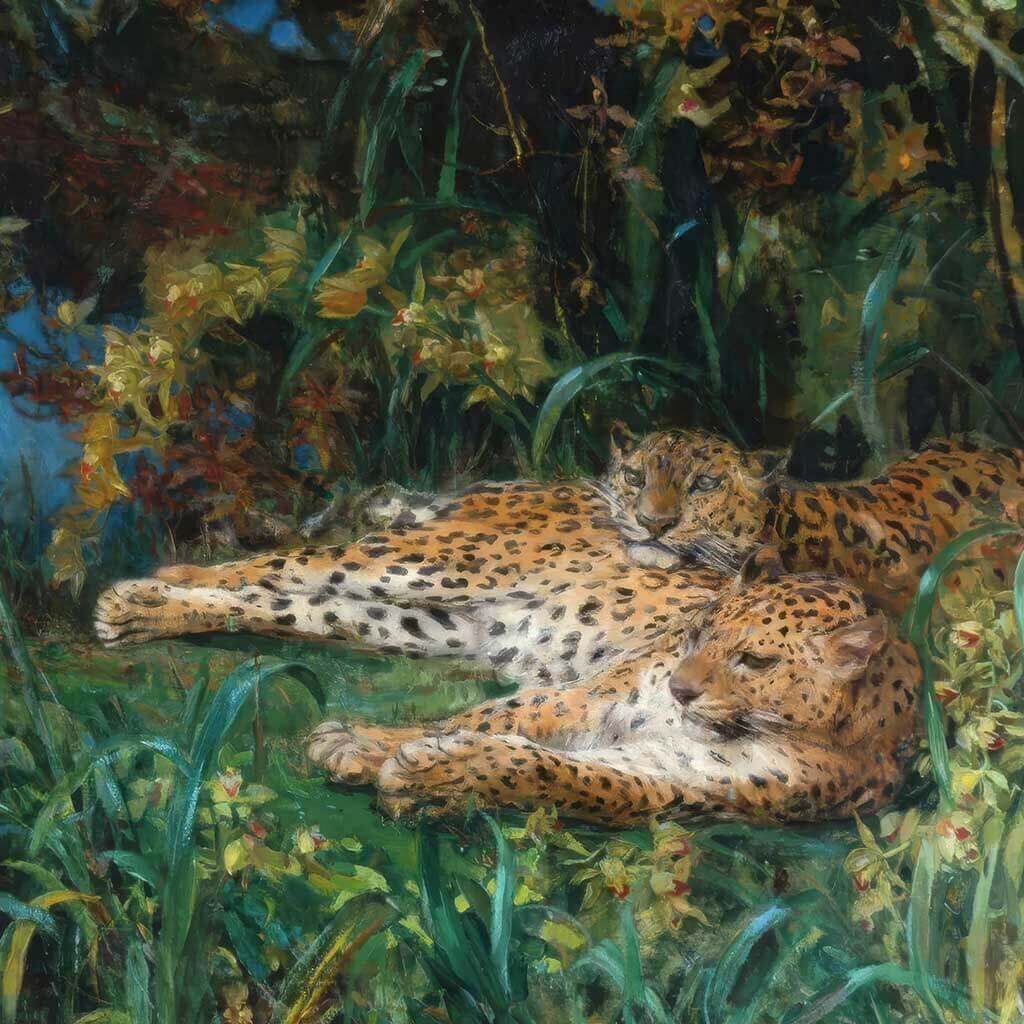 Leopards