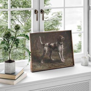 Limier Briquet Hound