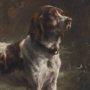 Limier Briquet Hound