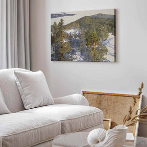 Nordic Winter