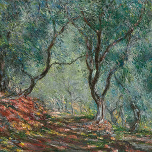 Olive Trees in the Moreno Garden