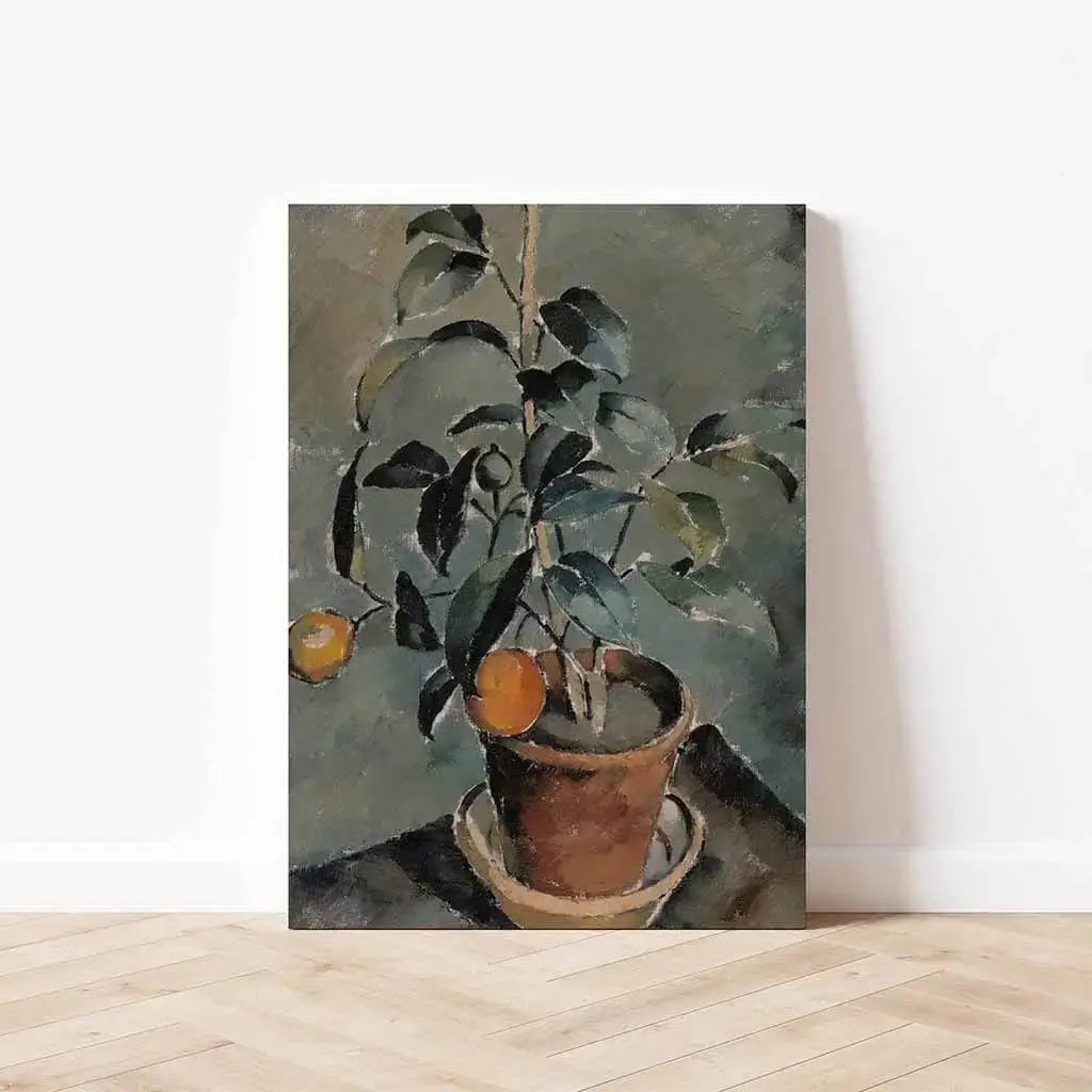 Orange Plant