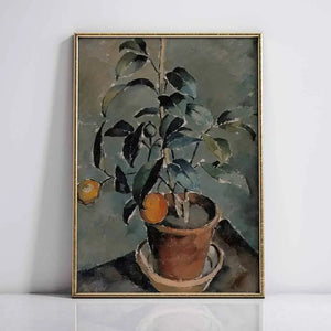 Orange Plant