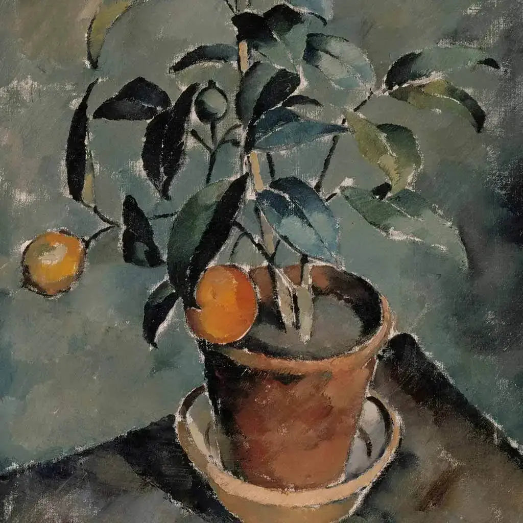 Orange Plant