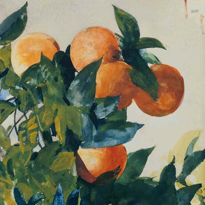 Oranges on a Branch