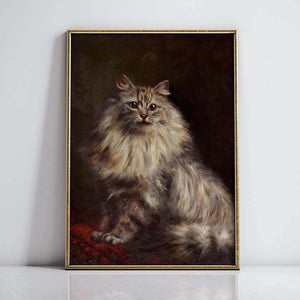 Persian cat