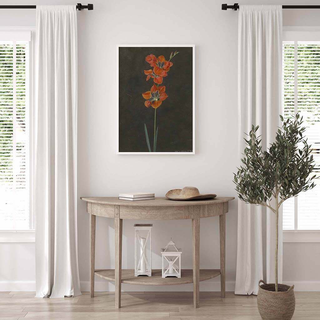 Red Lily