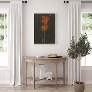 Red Lily