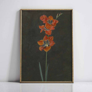 Red Lily