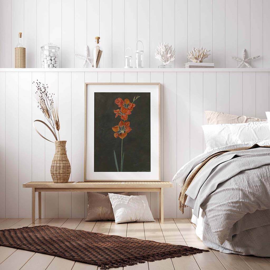 Red Lily