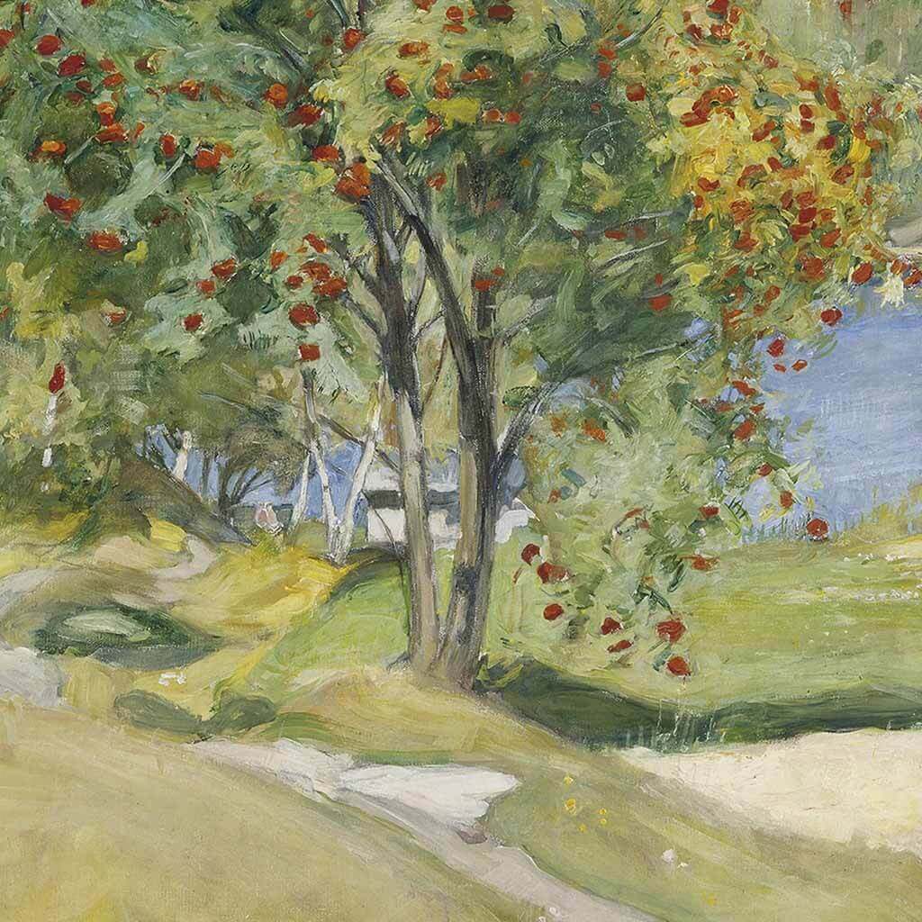 Rowan Tree