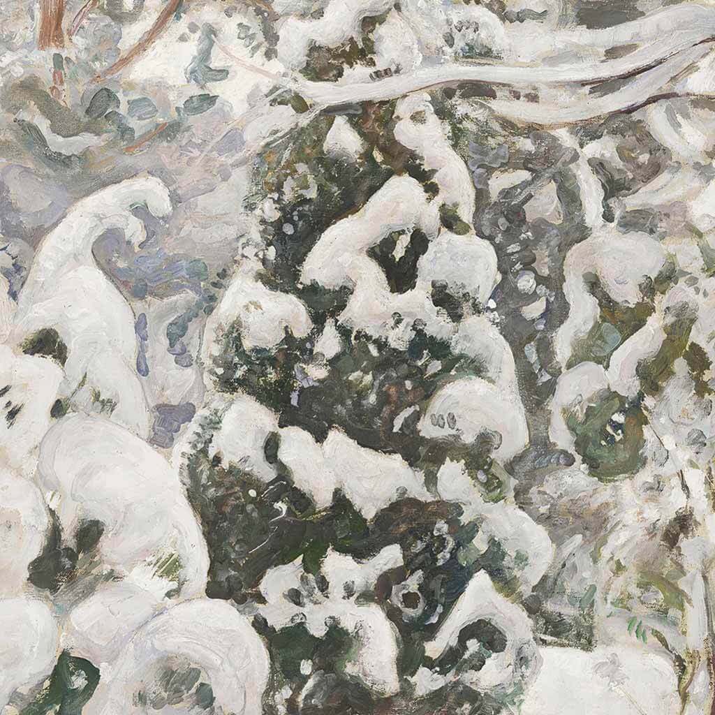 Santa Claus & Juniper Tree
