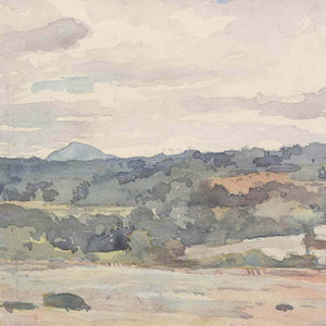 Serenity in Pastels