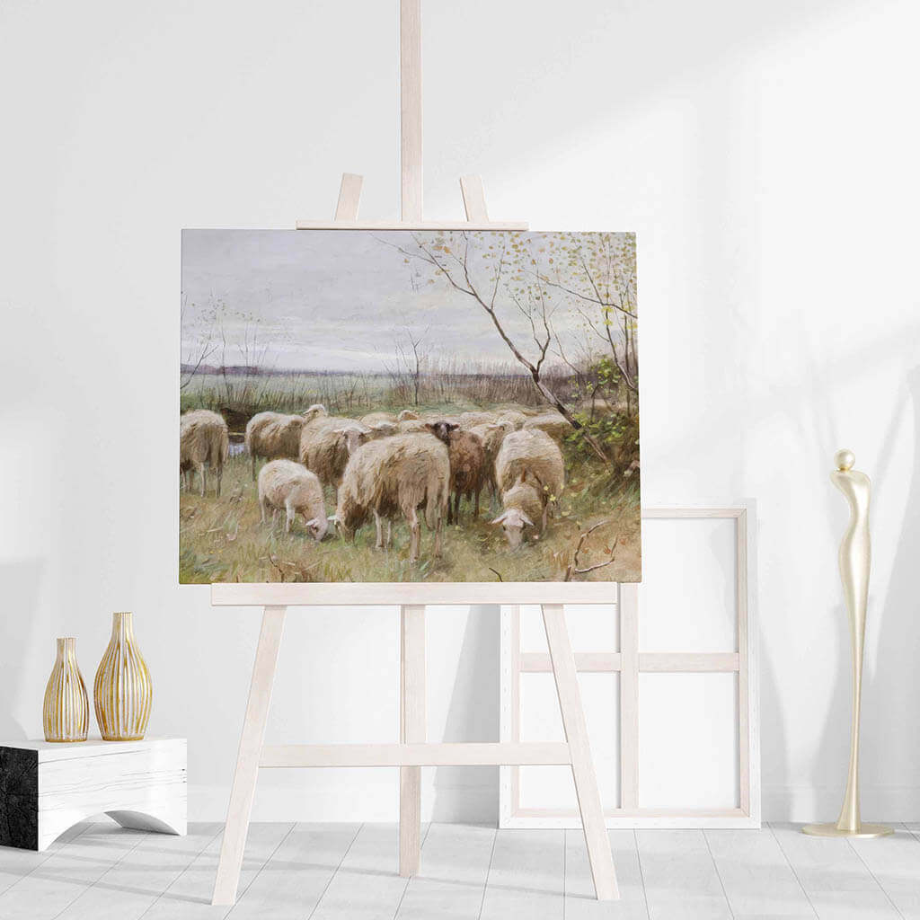 Sheep