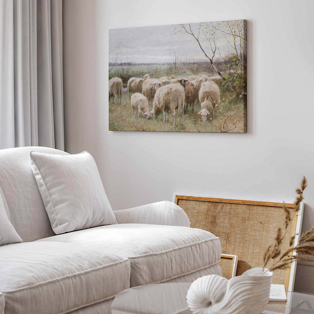 Sheep