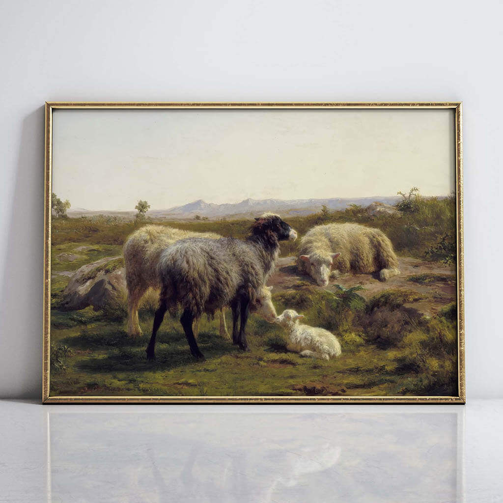 Sheep and Lambs