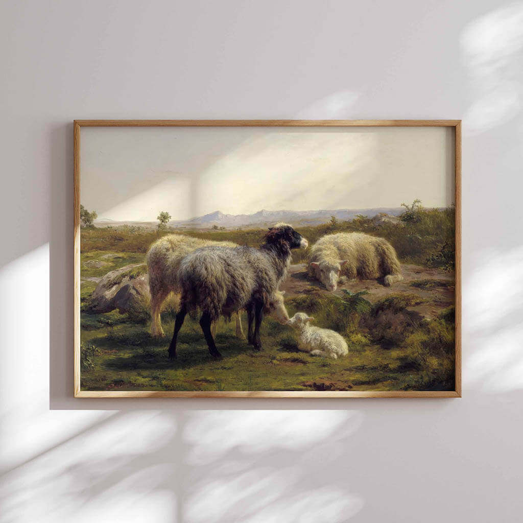 Sheep and Lambs