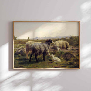 Sheep and Lambs