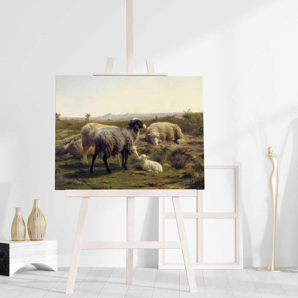 Sheep and Lambs