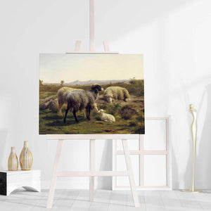 Sheep and Lambs