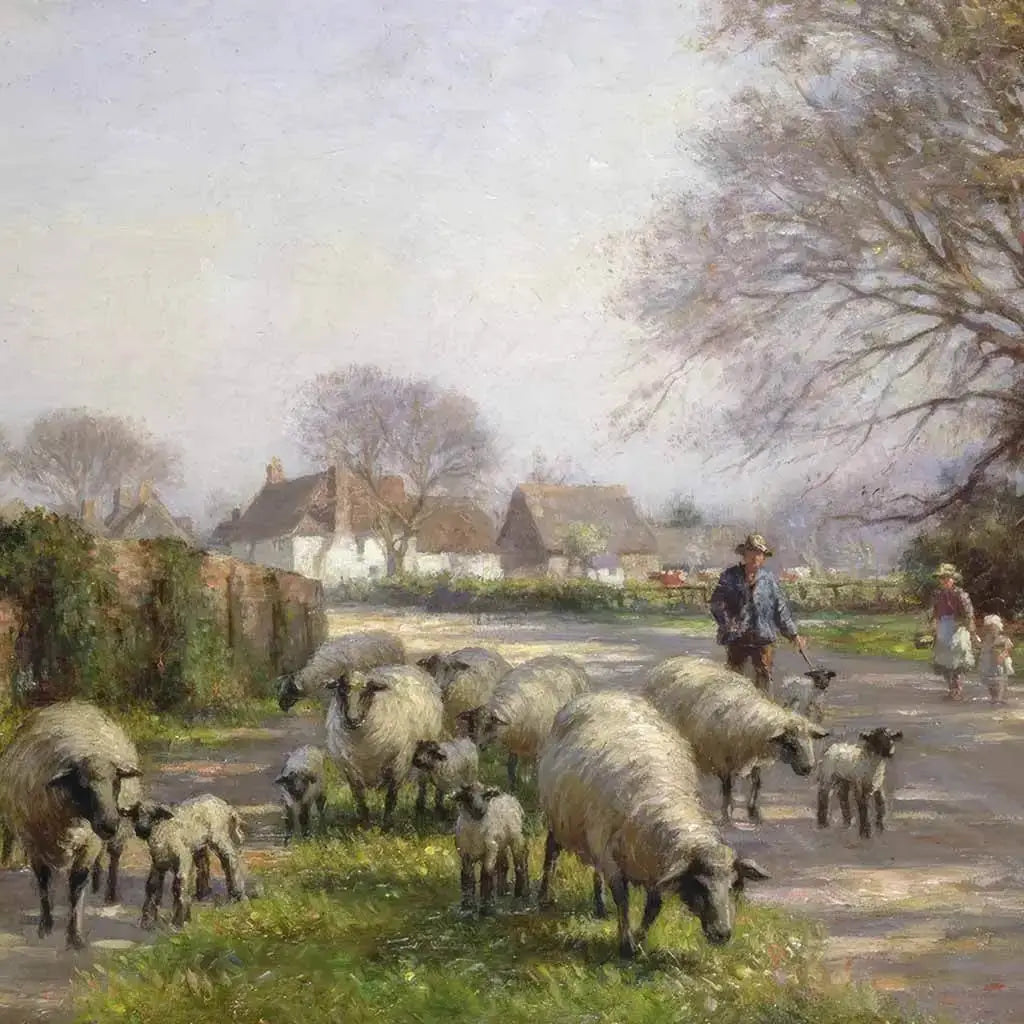 Sheep In Spring