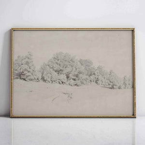Silhouette of the Woods