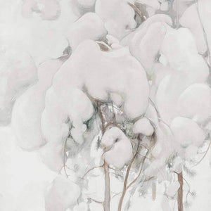 Snow-Covered Pine Saplings