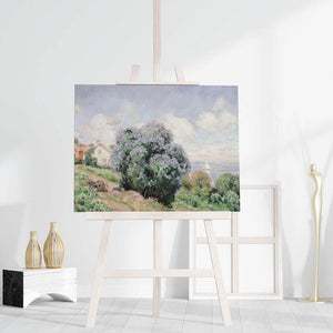 Seaside Lilacs