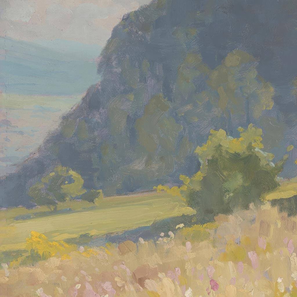 Summer Quiet Valley