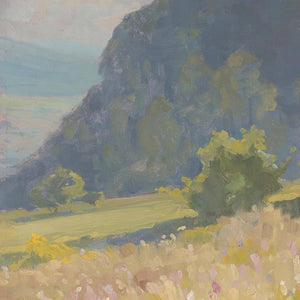 Summer Quiet Valley
