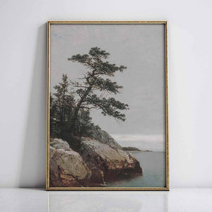 The Old Pine